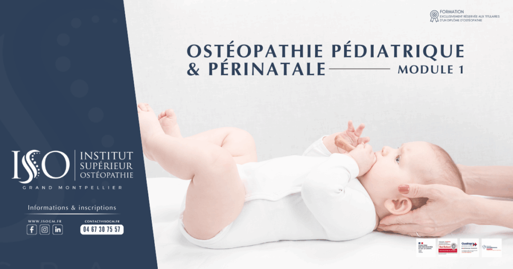 Formation ostéopathie pédiatrique et périnatale module 1 à l'ISOGM Béziers