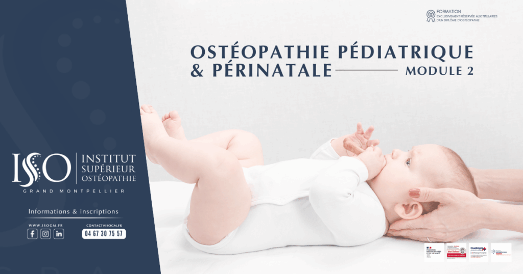Formation ostéopathie pédiatrique et périnatale module 2 à l'ISOGM Béziers